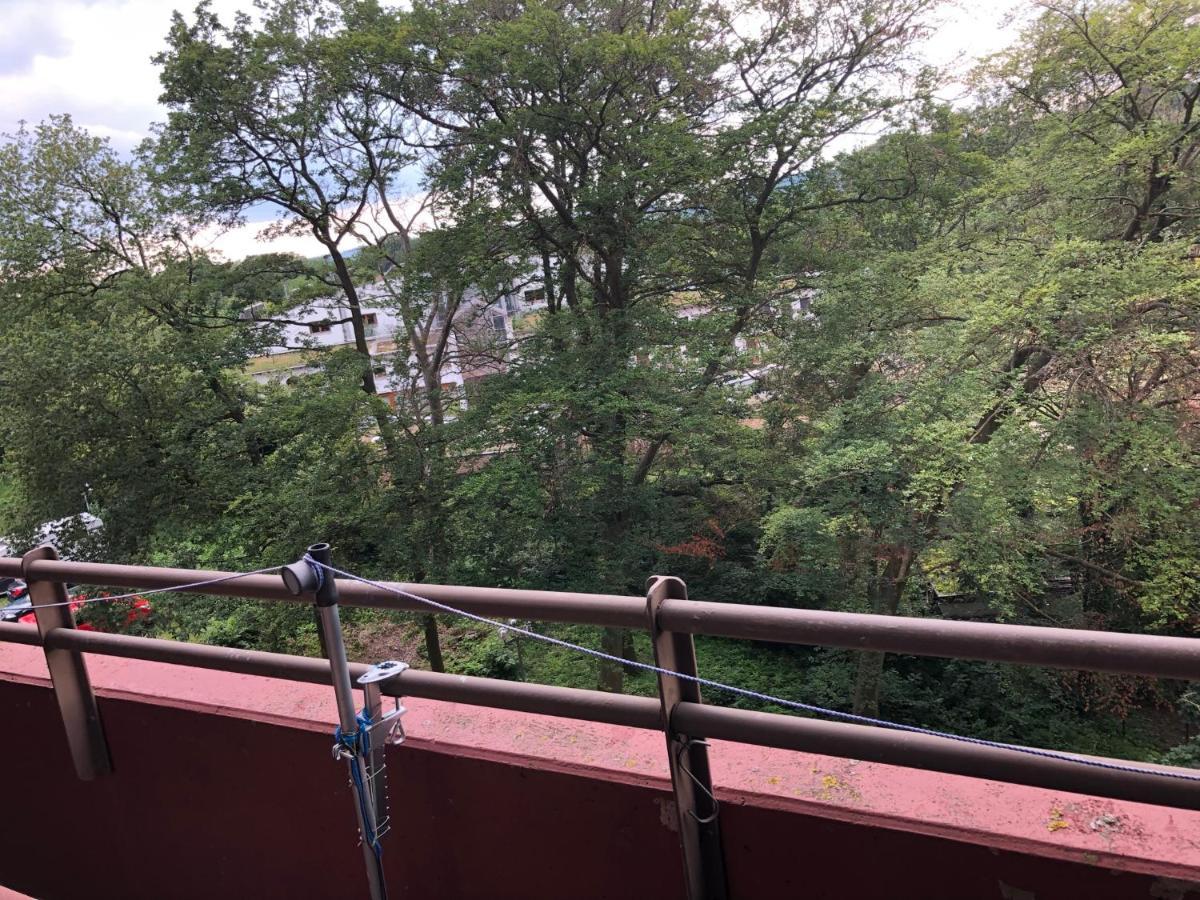B506, Schoenes Und Gemuetliches Appartement Lahnstein Esterno foto
